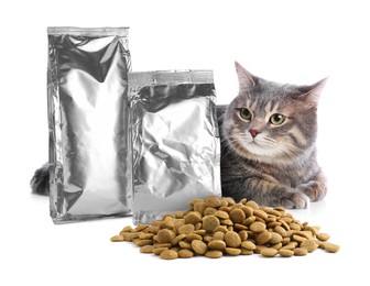 Image of Cute cat lying near foil packages and heap of dry pet food on white background