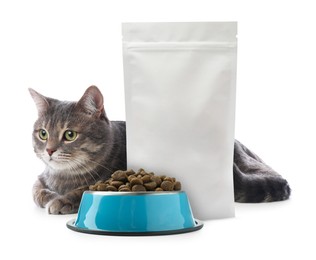 Image of Cute cat lying near package and bowl of dry pet food on white background