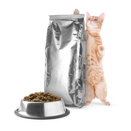 Image of Cute cat, foil package and bowl of dry pet food on white background