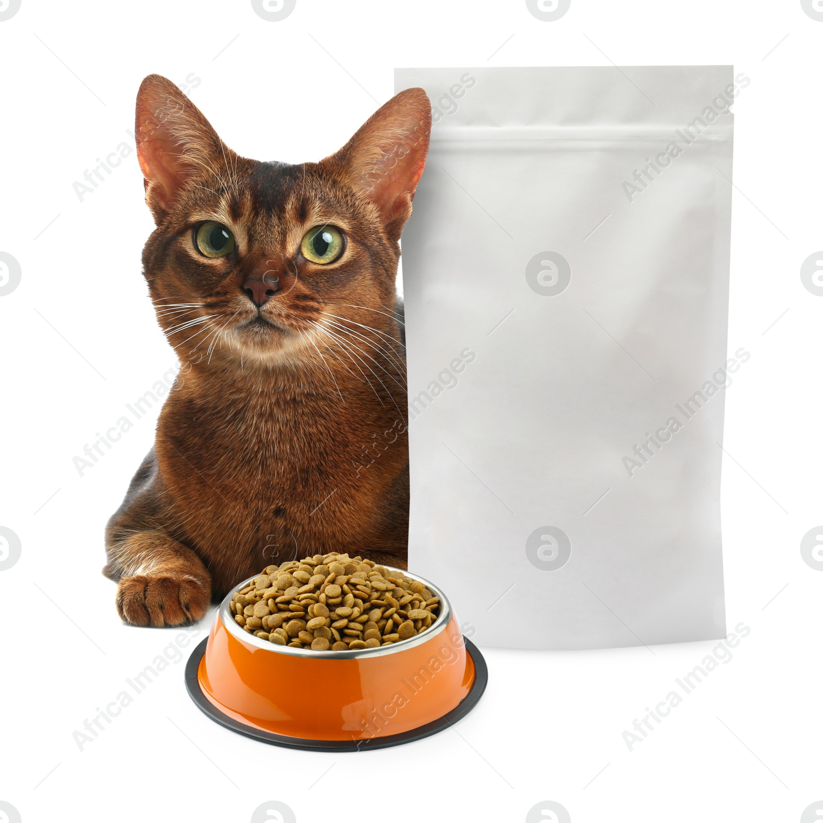 Image of Cute cat lying near package and bowl of dry pet food on white background