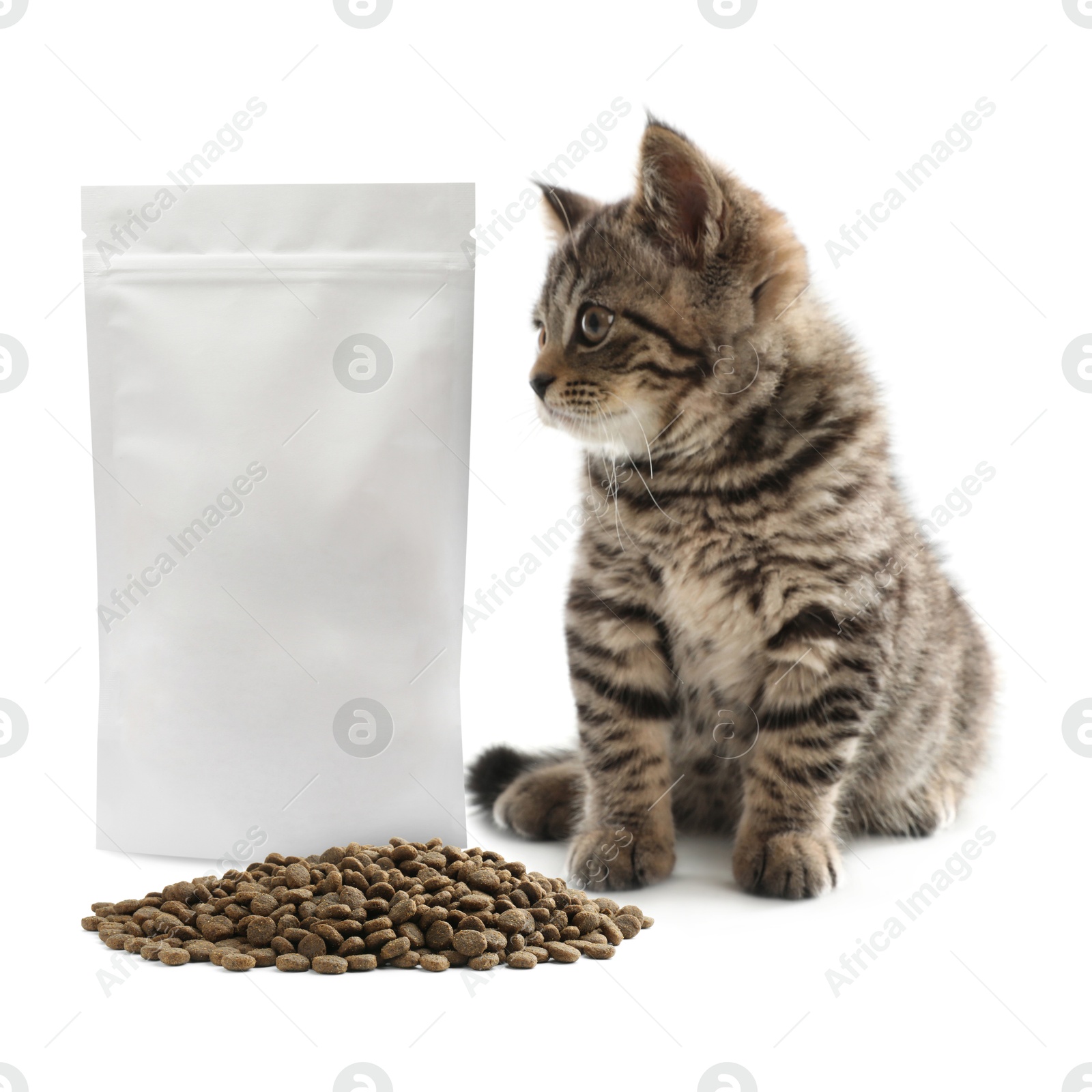 Image of Fluffy kitten sitting near package and heap of dry pet food on white background