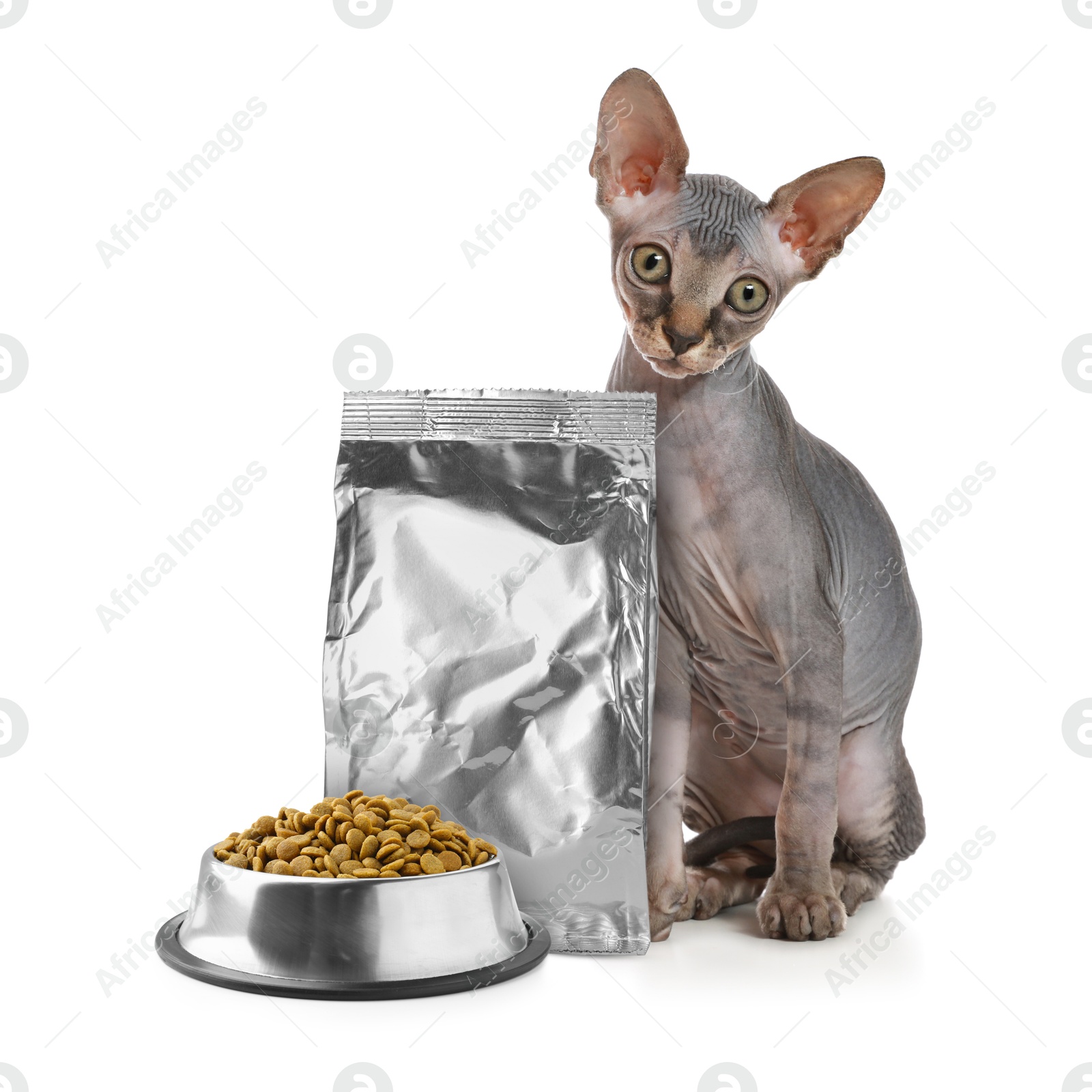 Image of Cute cat sitting near foil package and bowl of dry pet food on white background