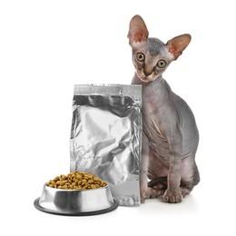 Image of Cute cat sitting near foil package and bowl of dry pet food on white background