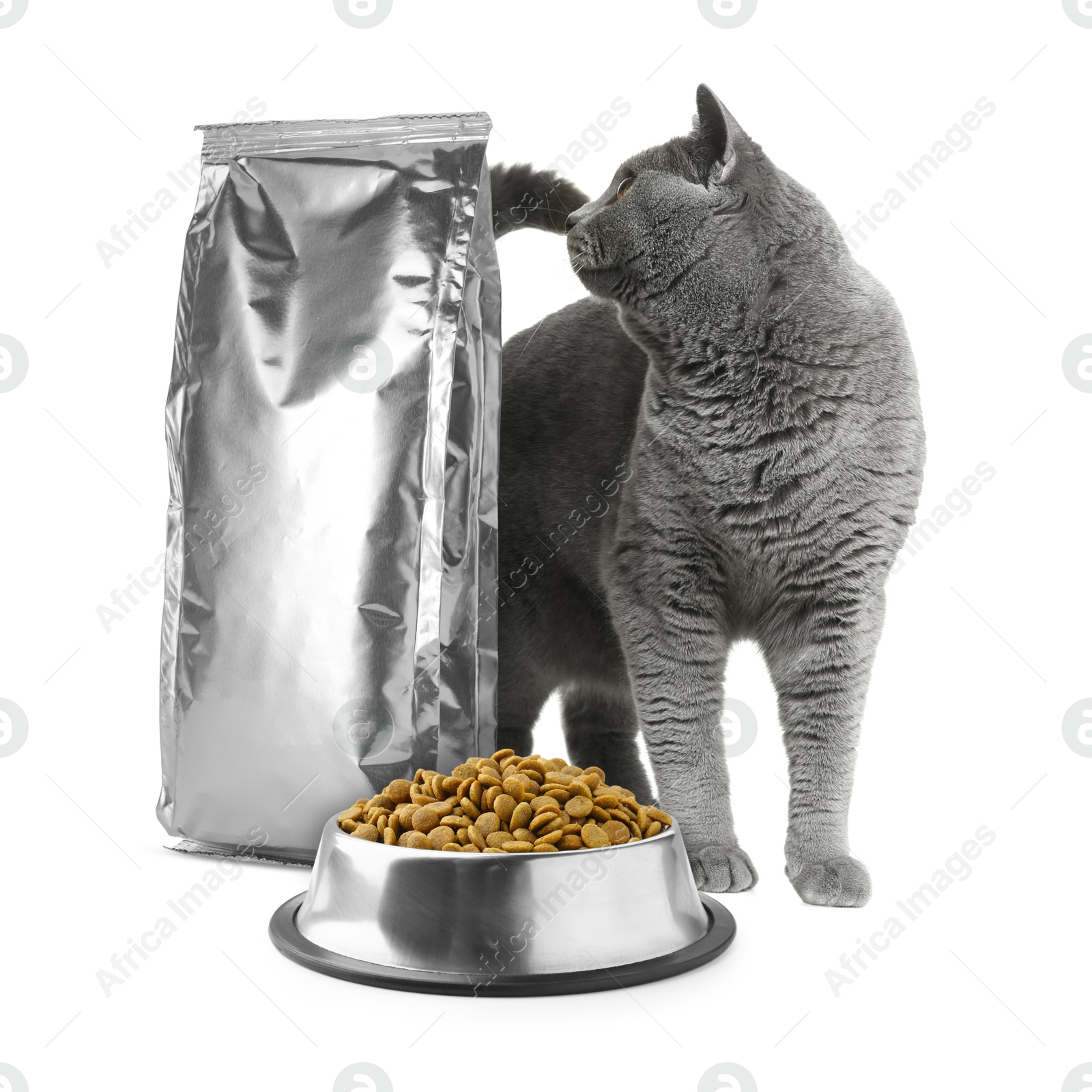 Image of Cute cat, foil package and bowl of dry pet food on white background