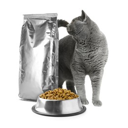 Image of Cute cat, foil package and bowl of dry pet food on white background