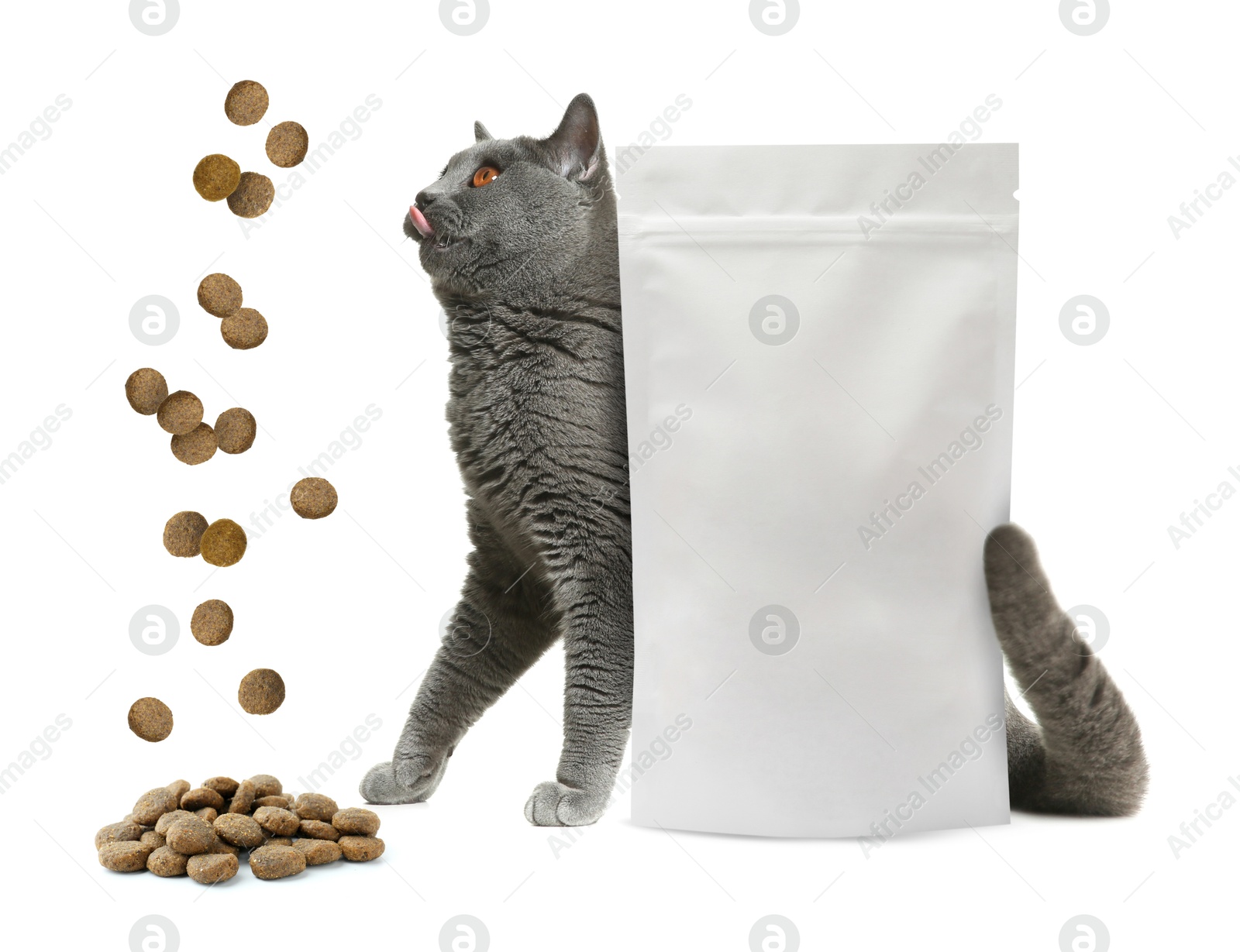 Image of Cute cat sitting near package and looking at falling dry pet food on white background