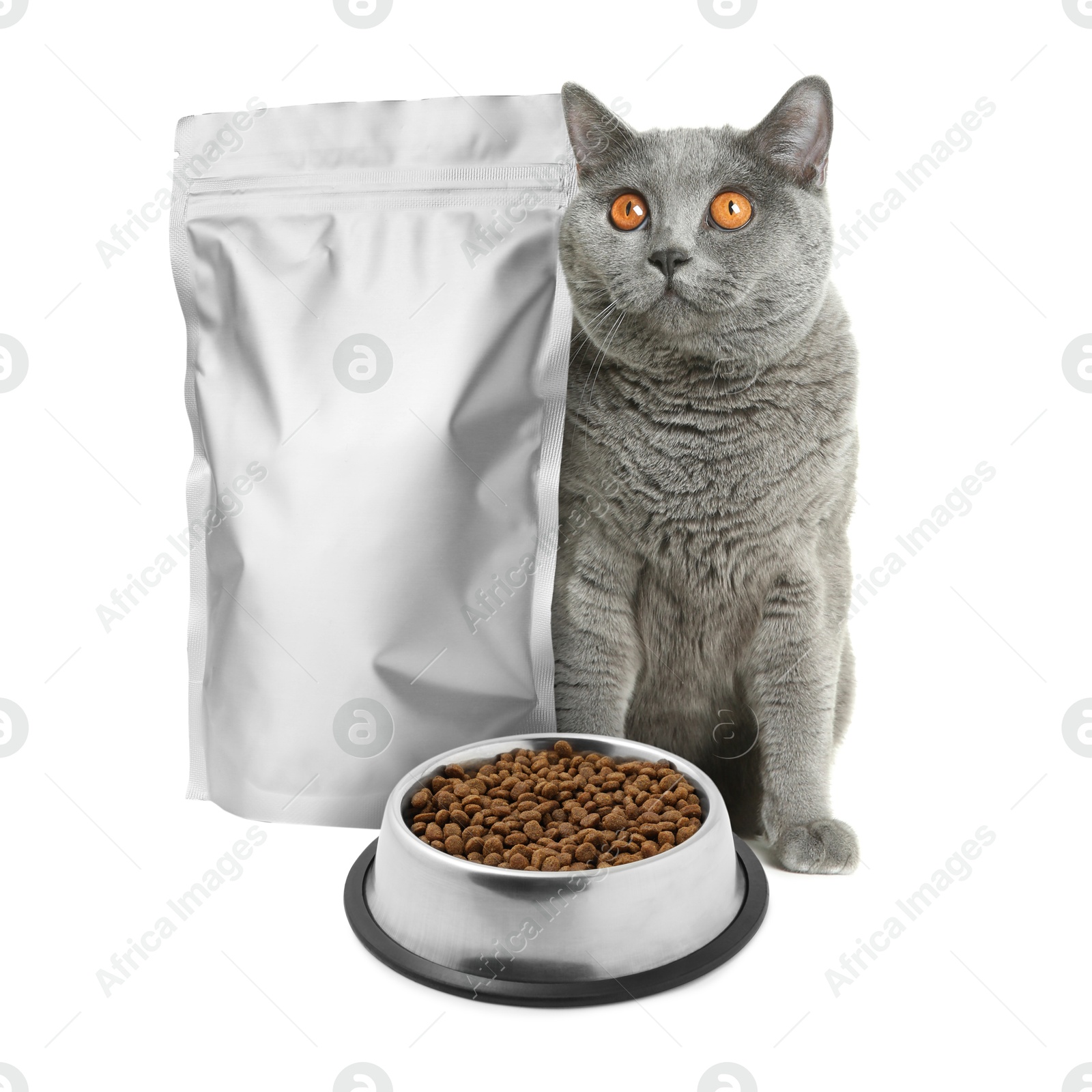 Image of Cute cat sitting near foil package and bowl of dry pet food on white background