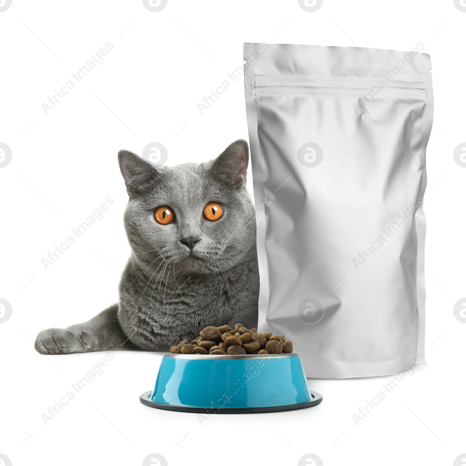 Image of Cute cat lying near foil package and bowl of dry pet food on white background