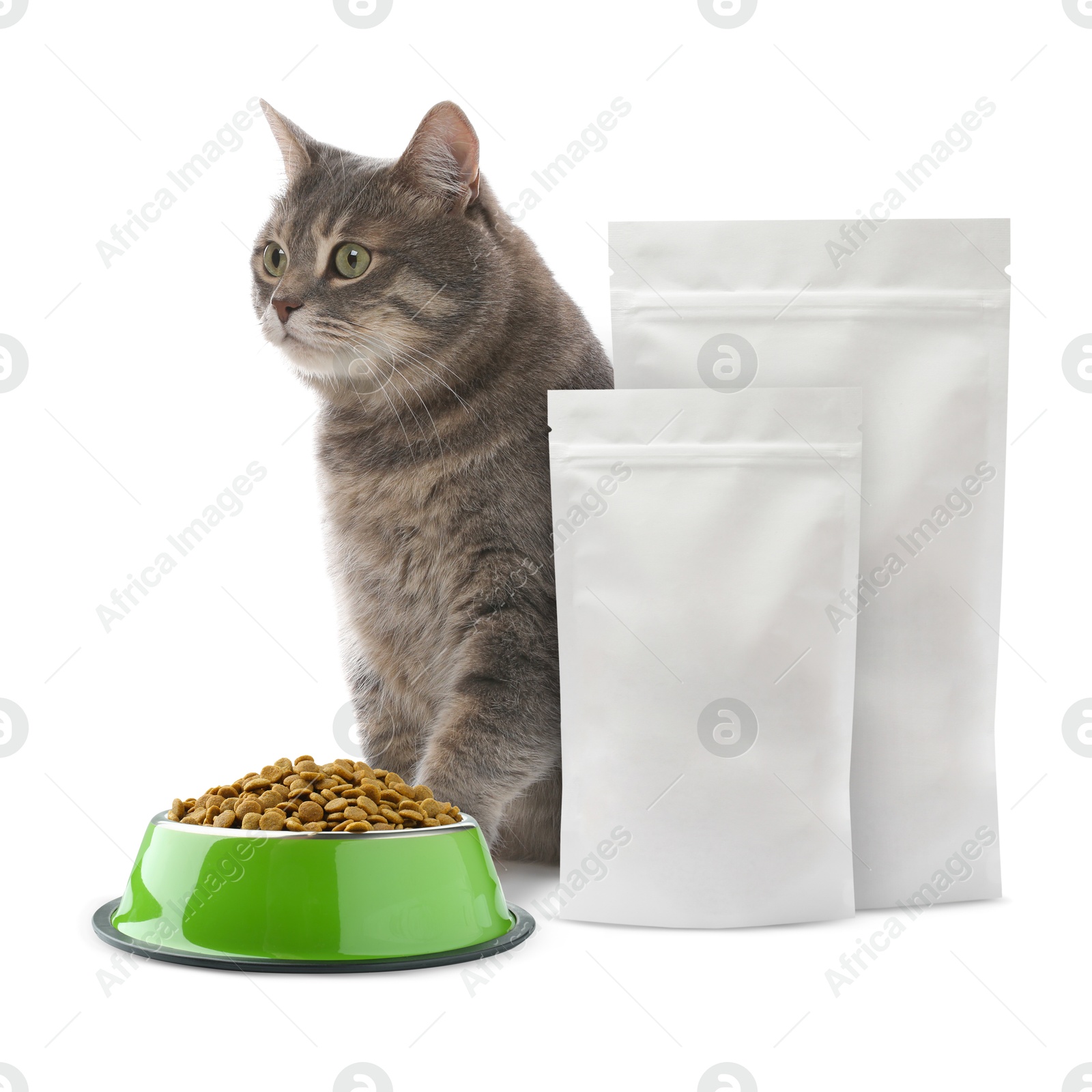 Image of Cute cat sitting near packages and bowl of dry pet food on white background