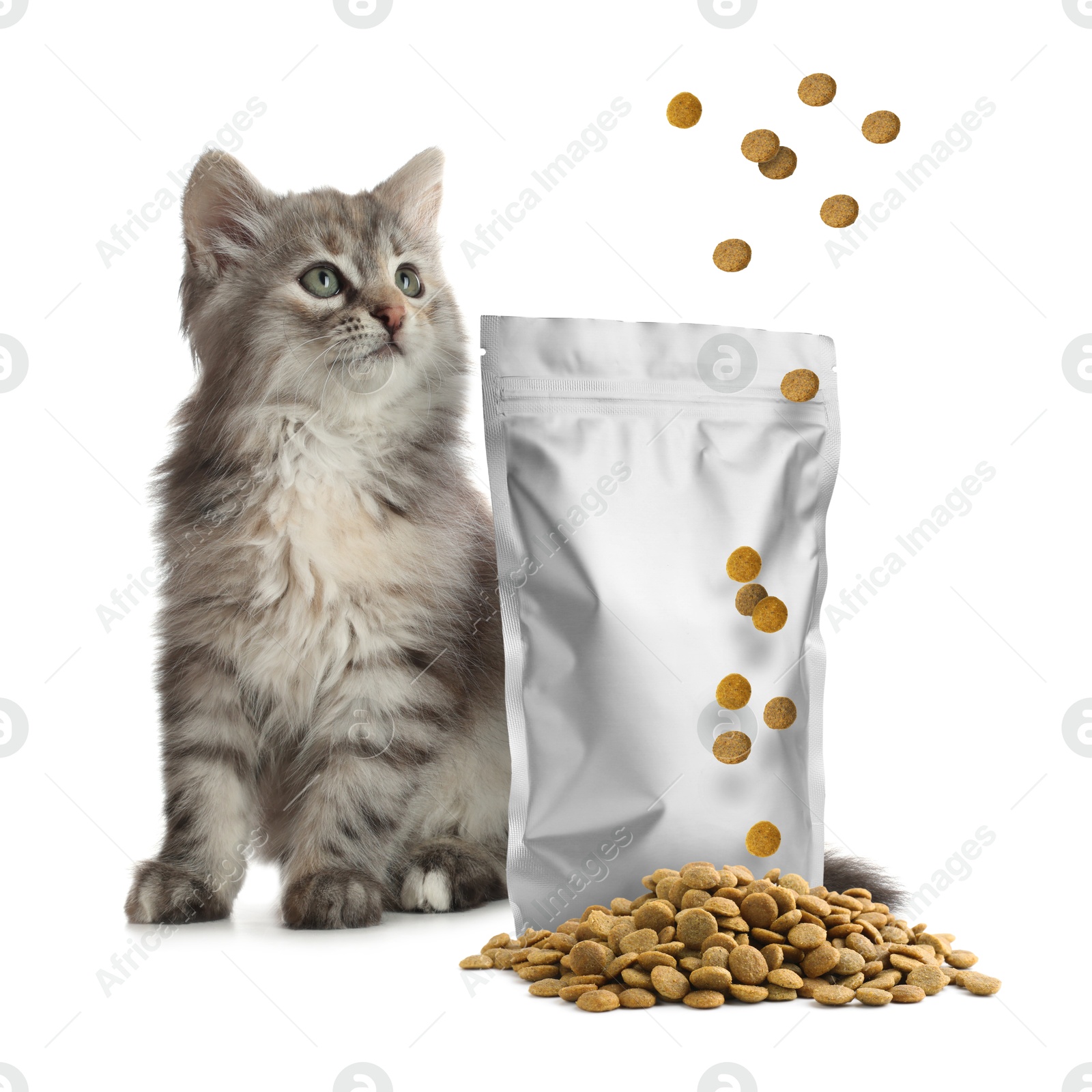 Image of Fluffy kitten sitting near foil package and looking at falling dry pet food on white background