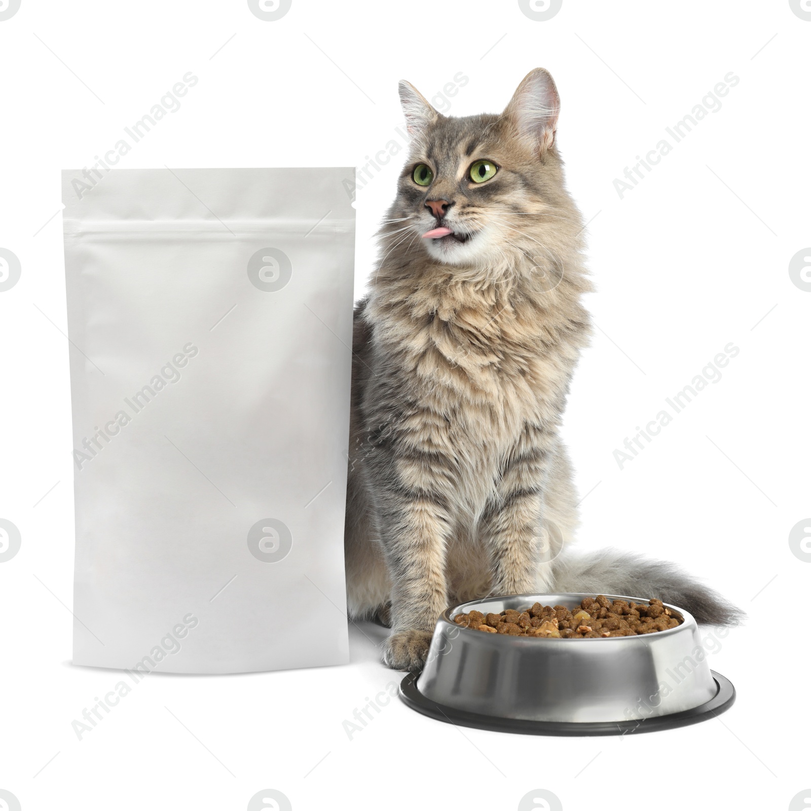 Image of Cute cat sitting near package and bowl of dry pet food on white background