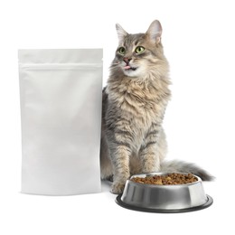 Image of Cute cat sitting near package and bowl of dry pet food on white background