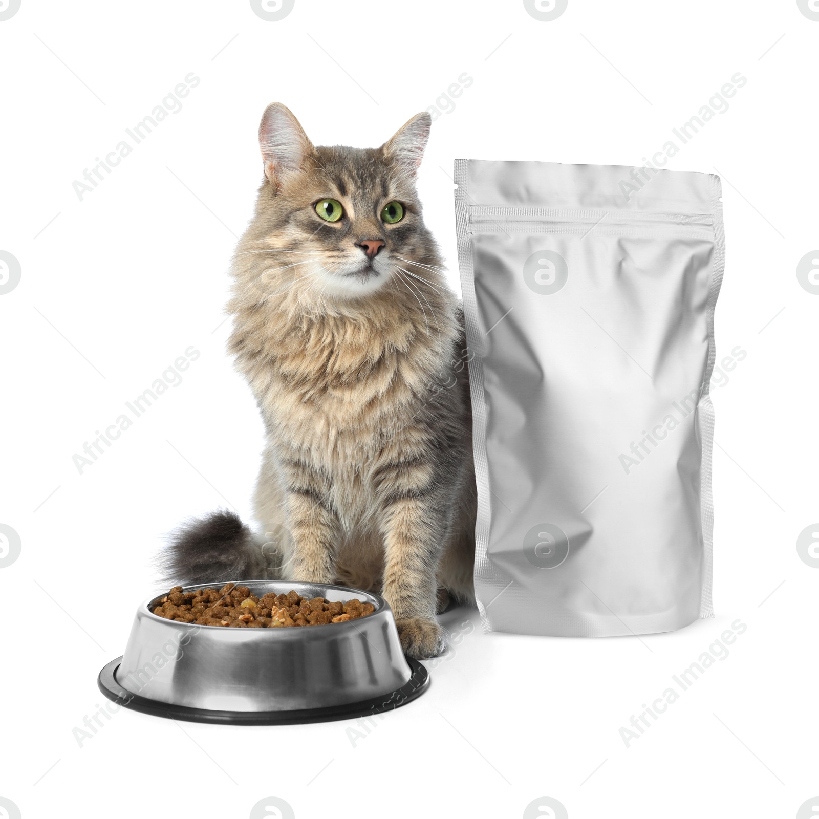 Image of Cute cat sitting near foil package and bowl of dry pet food on white background