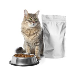 Image of Cute cat sitting near foil package and bowl of dry pet food on white background