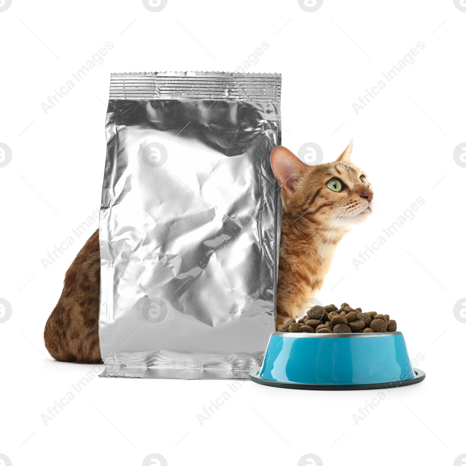 Image of Cute cat sitting near foil package and bowl of dry pet food on white background