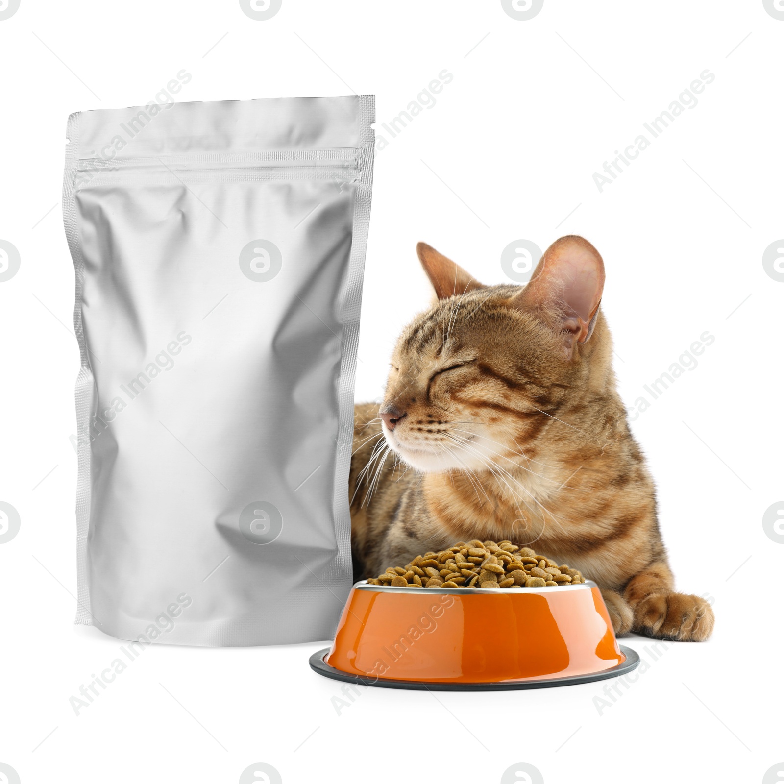 Image of Cute cat lying near foil package and bowl of dry pet food on white background