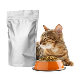 Image of Cute cat lying near foil package and bowl of dry pet food on white background