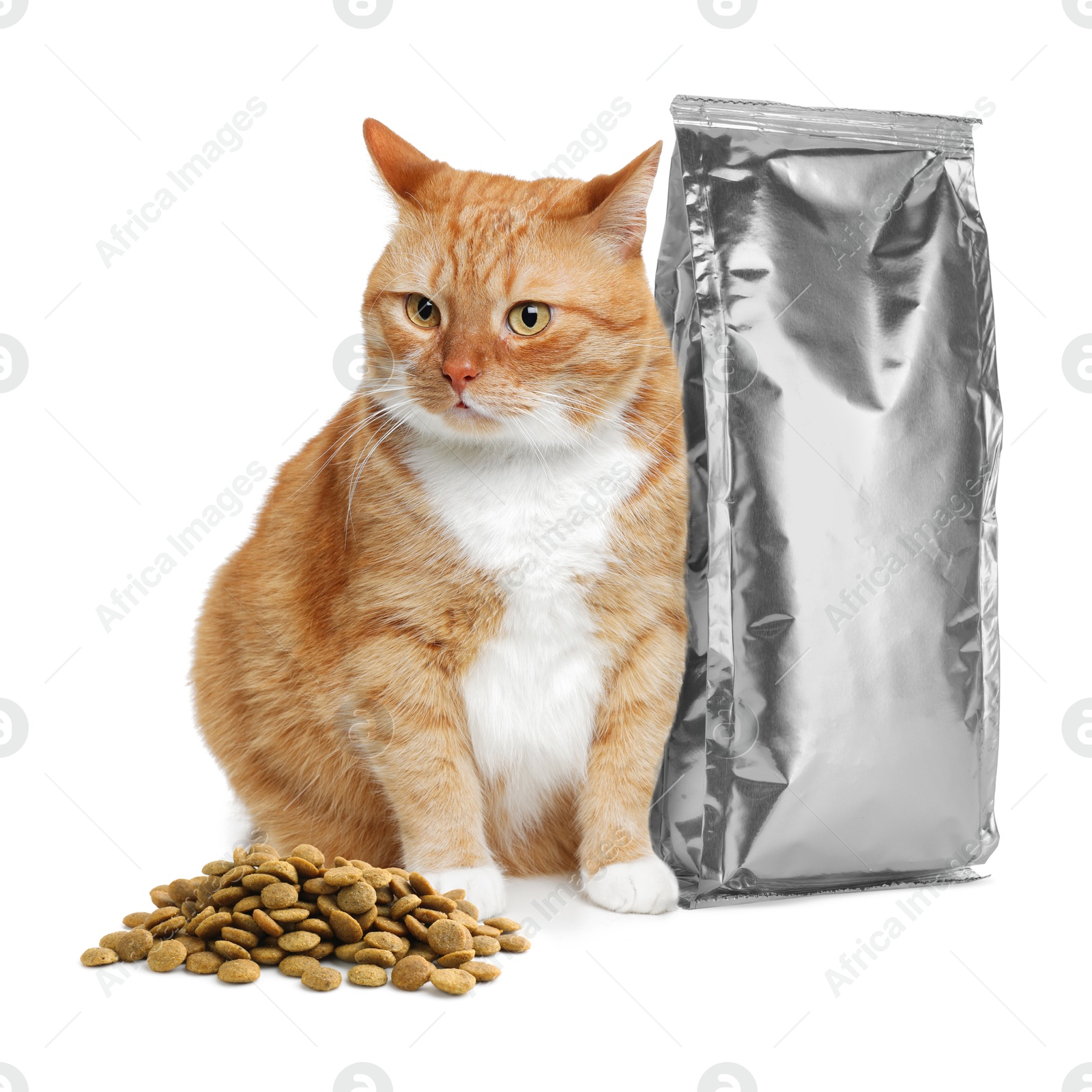 Image of Cute cat sitting near foil package and heap of dry pet food on white background