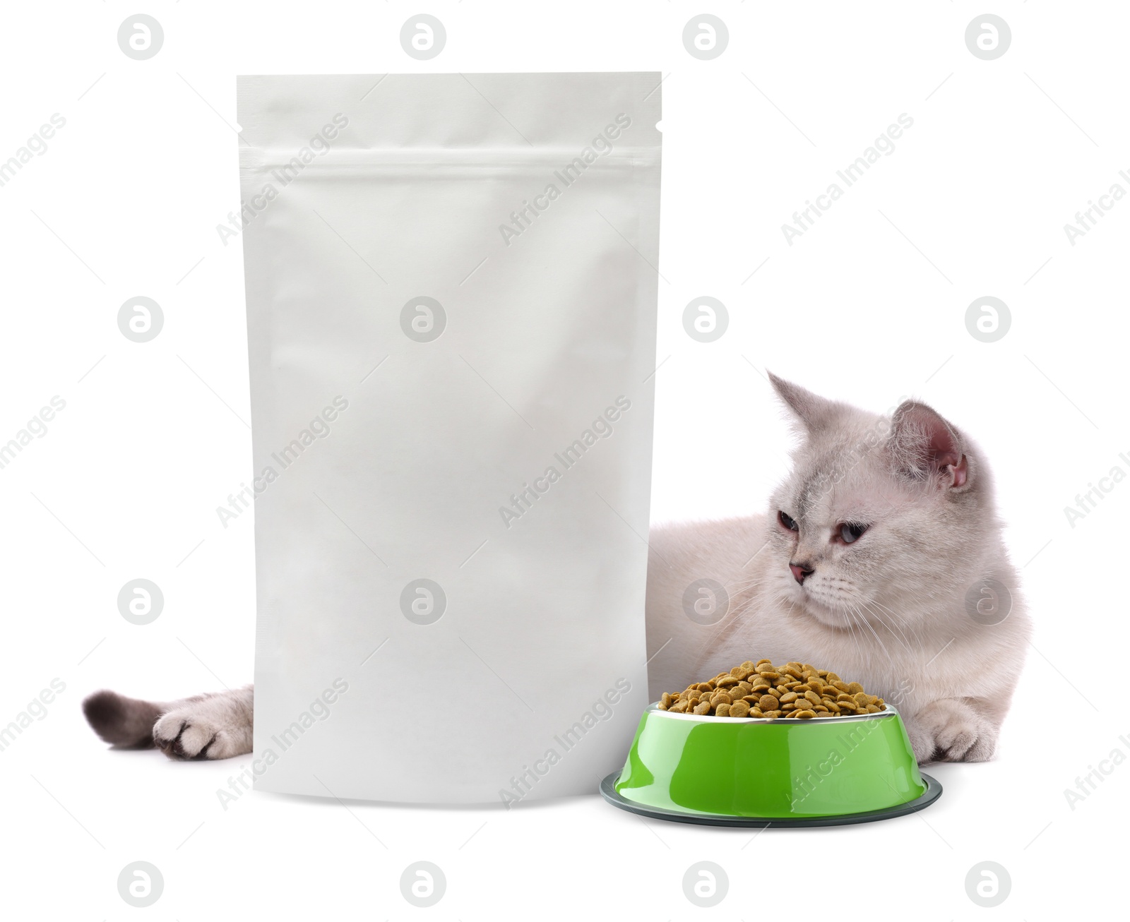 Image of Cute cat lying near package and bowl of dry pet food on white background