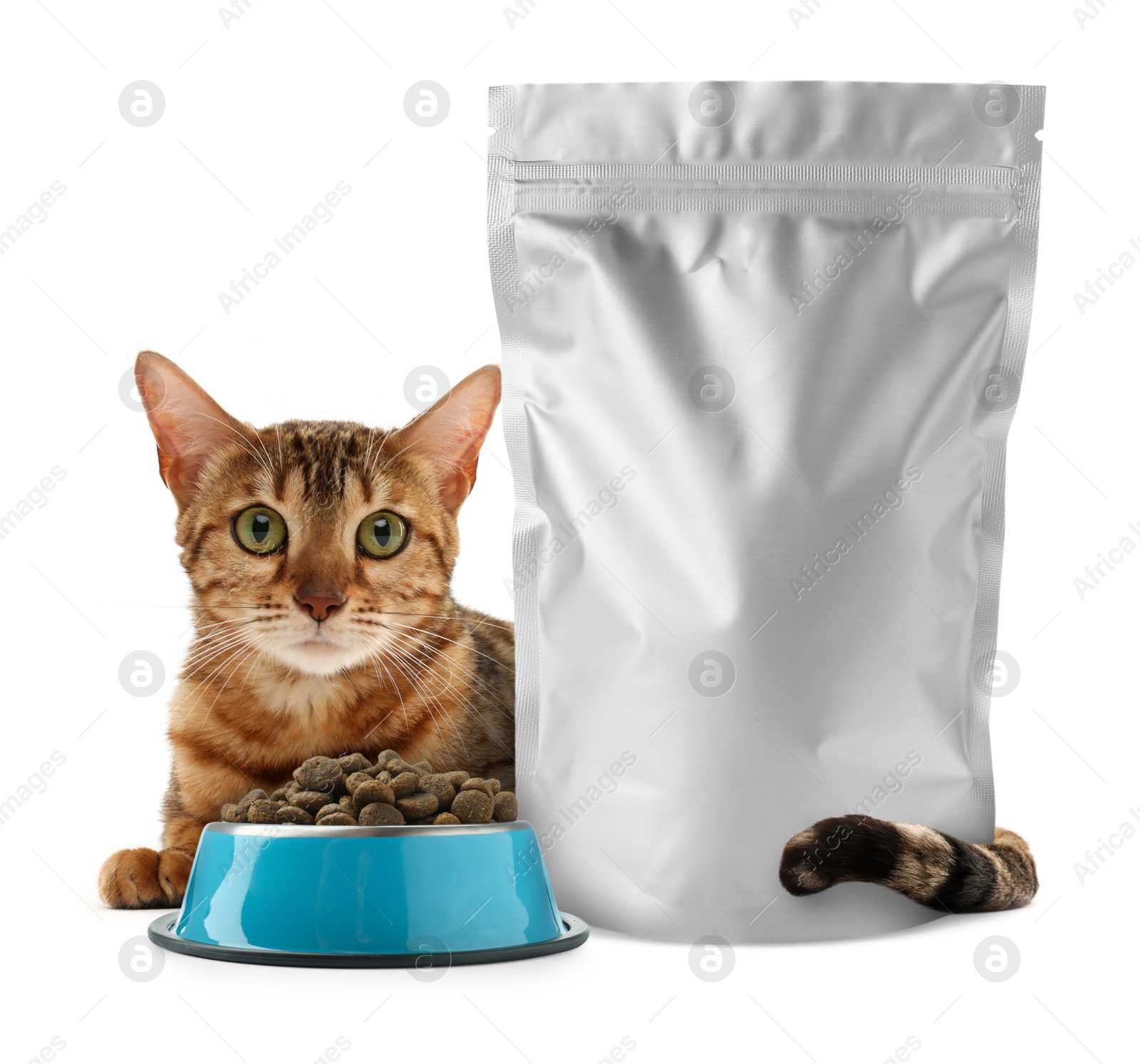 Image of Cute cat lying near foil package and bowl of dry pet food on white background