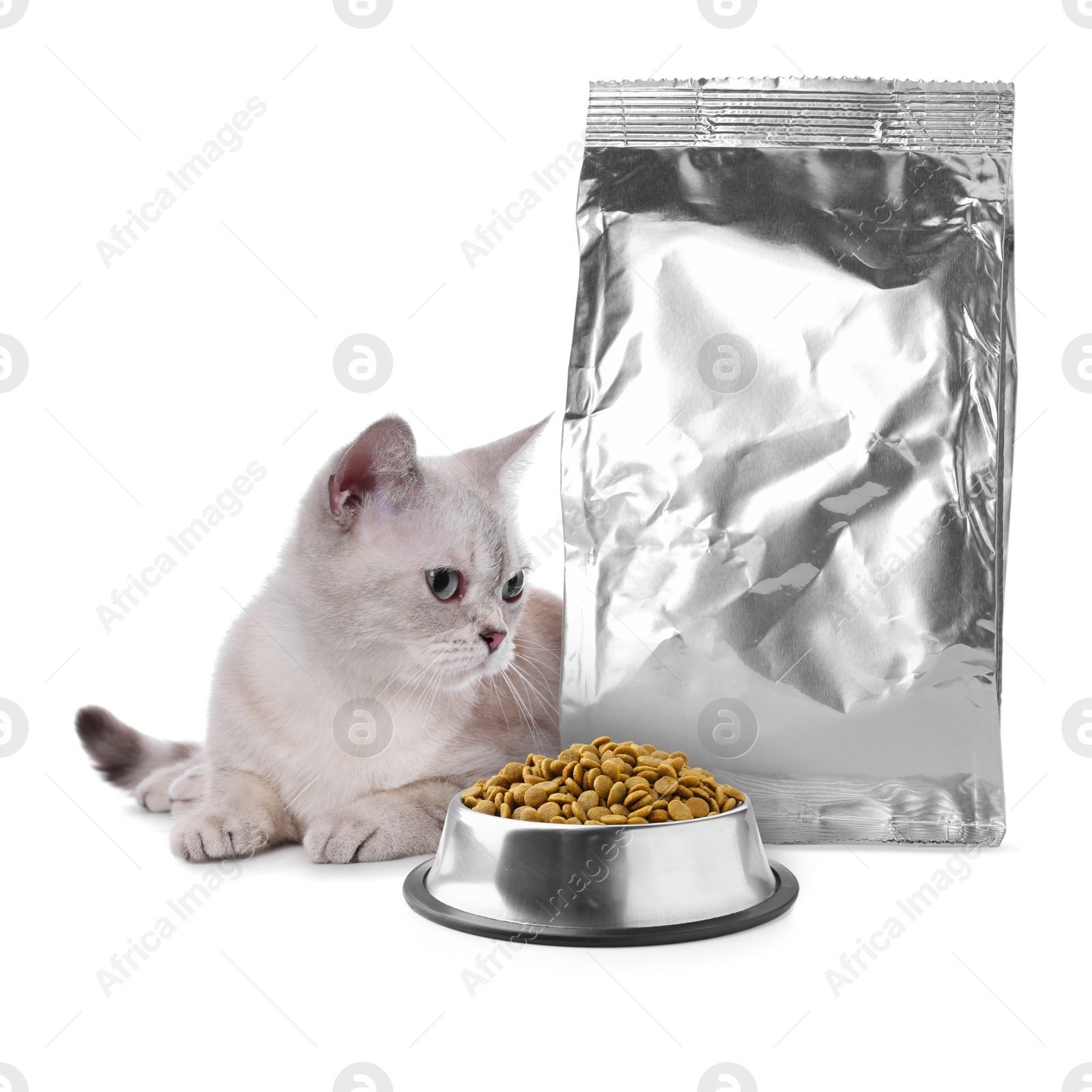 Image of Cute cat lying near foil package and bowl of dry pet food on white background