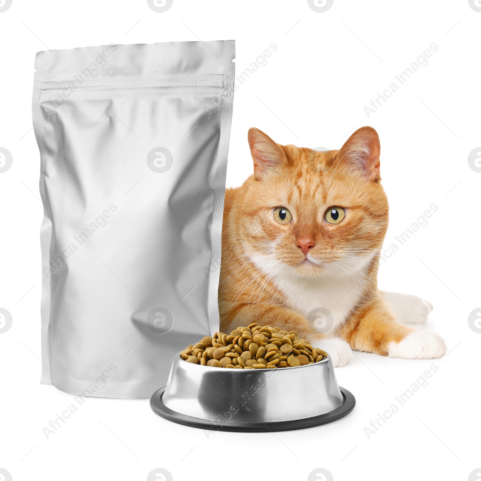 Image of Cute cat lying near foil package and bowl of dry pet food on white background