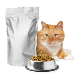 Image of Cute cat lying near foil package and bowl of dry pet food on white background