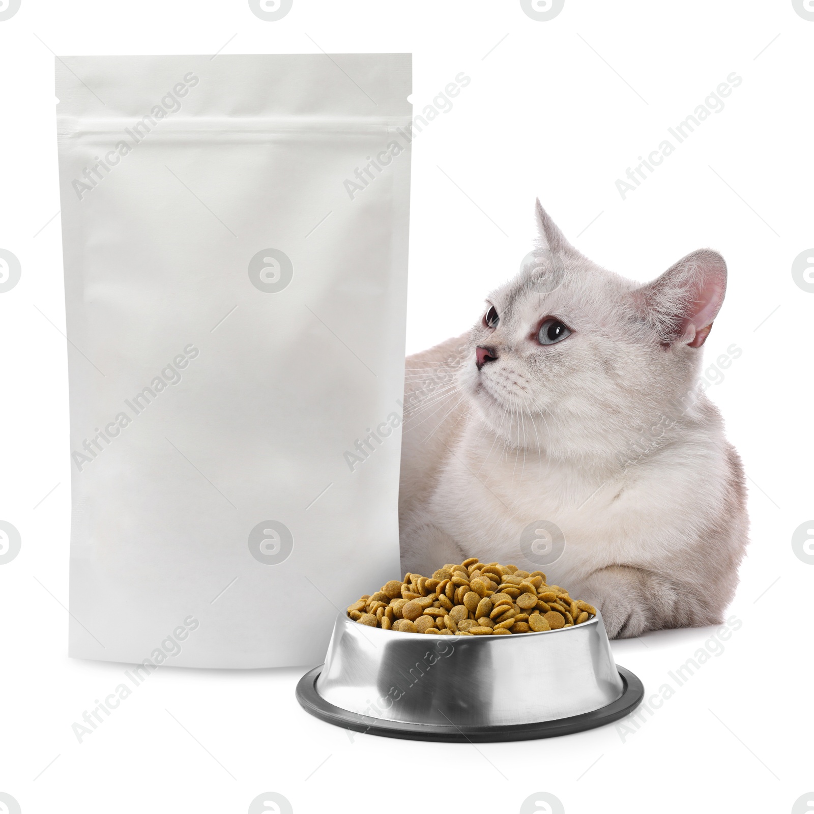 Image of Cute cat lying near package and bowl of dry pet food on white background