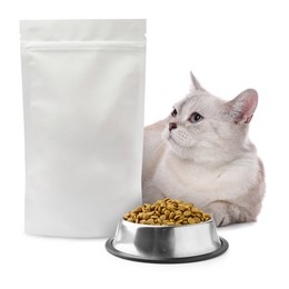 Image of Cute cat lying near package and bowl of dry pet food on white background