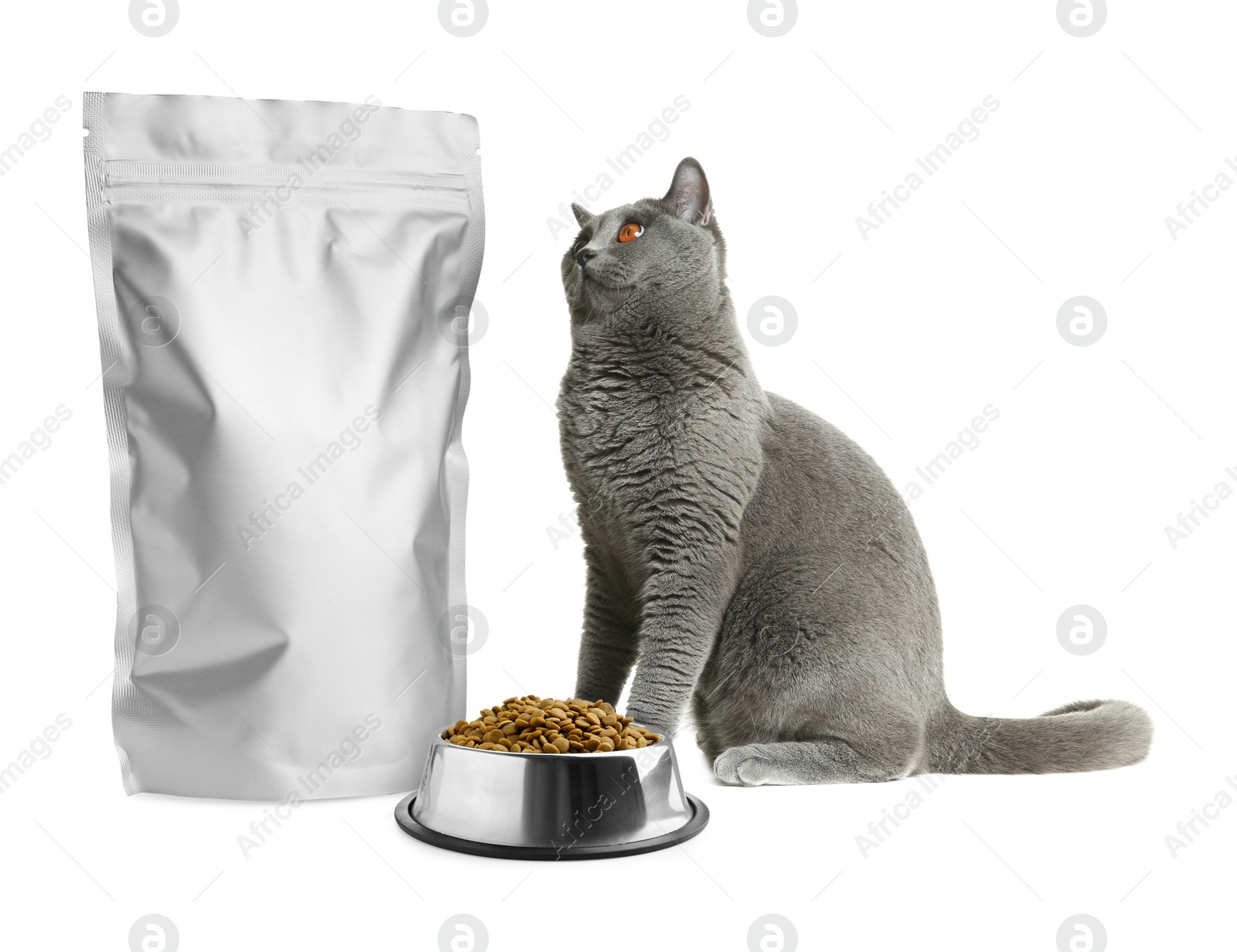 Image of Cute cat sitting near foil package and bowl of dry pet food on white background