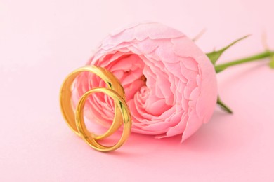 Golden wedding rings and flower on pink background, closeup