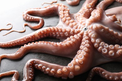 Photo of One fresh raw octopus on grey textured table, closeup