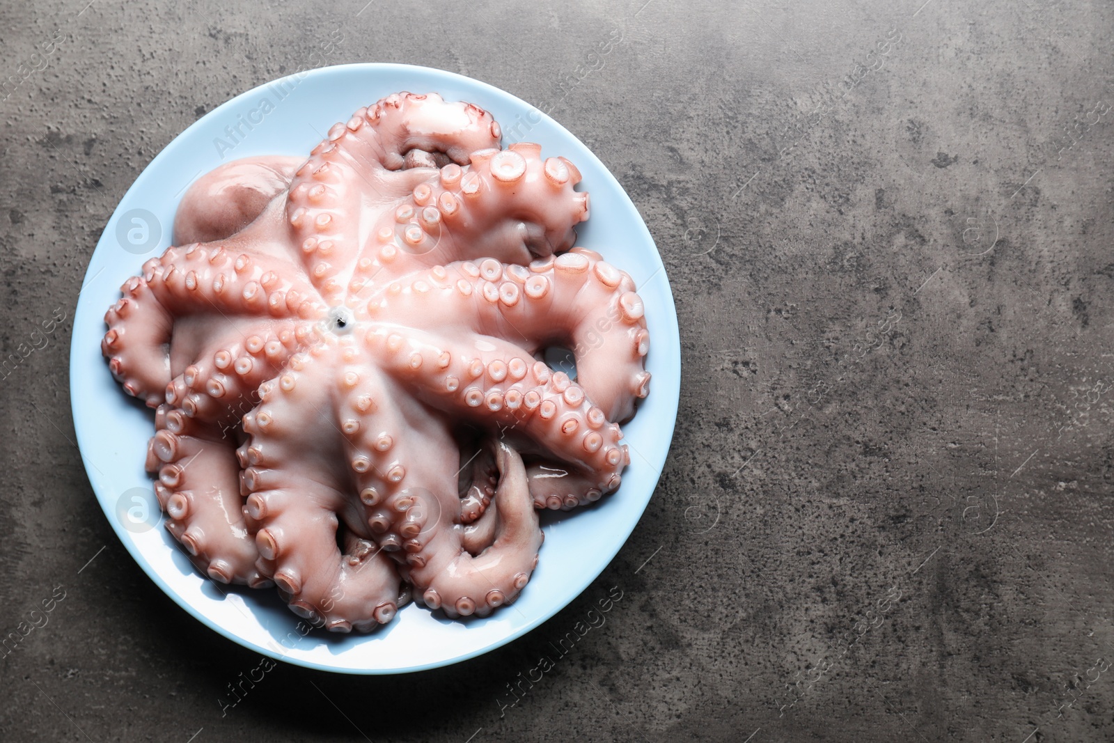 Photo of Plate with raw octopus on grey textured table, top view. Space for text