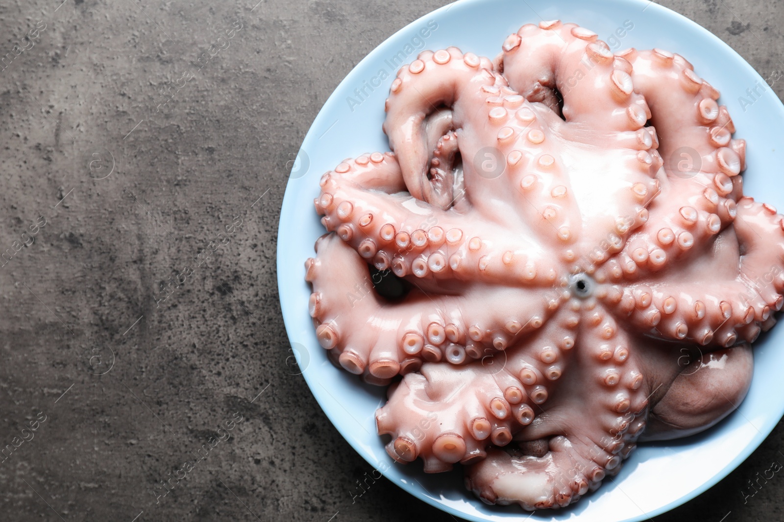 Photo of Plate with raw octopus on grey textured table, top view. Space for text