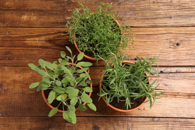 Photo of Potted aromatic herbs on wooden table, top view