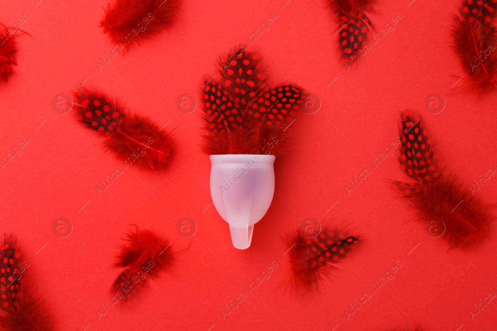 Photo of Menstrual cup with feathers on red background, flat lay