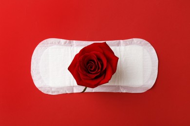 Photo of Menstrual pad with rose flower on red background, top view