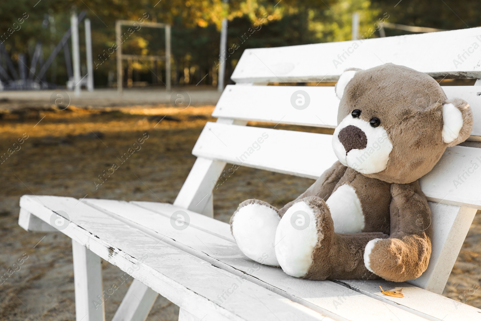 Photo of Lonely teddy bear on bench in park