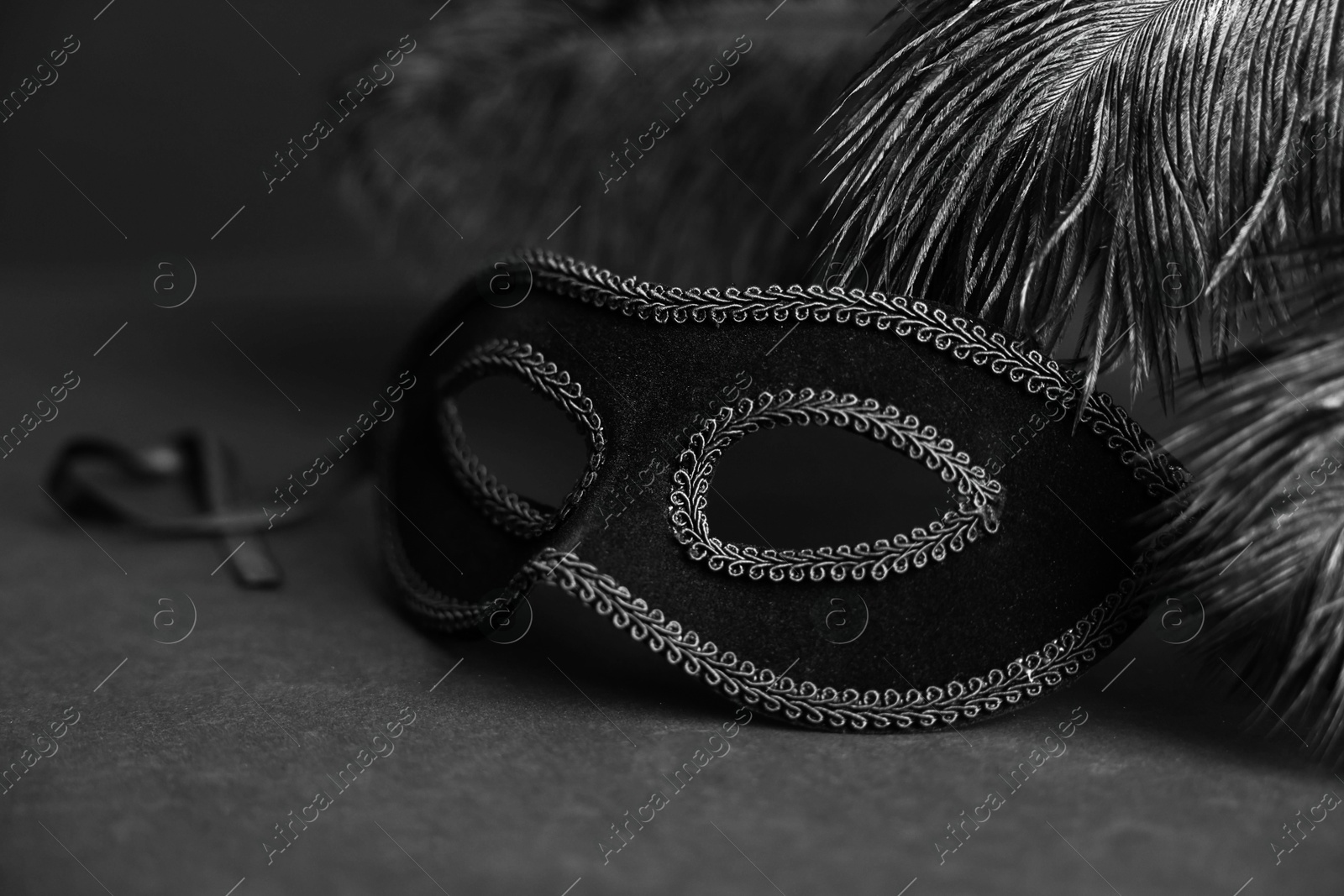 Photo of Beautiful carnival mask and feathers on black background, closeup