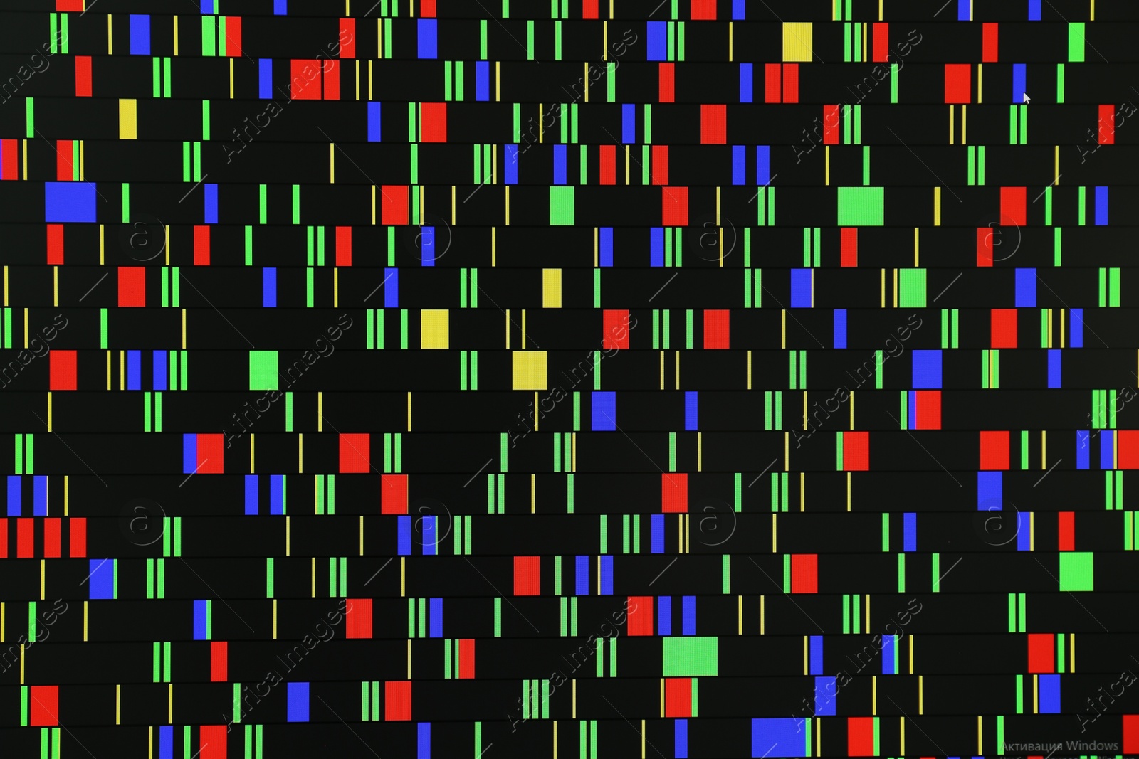 Photo of DNA analysis. Data with genetic information as background, closeup