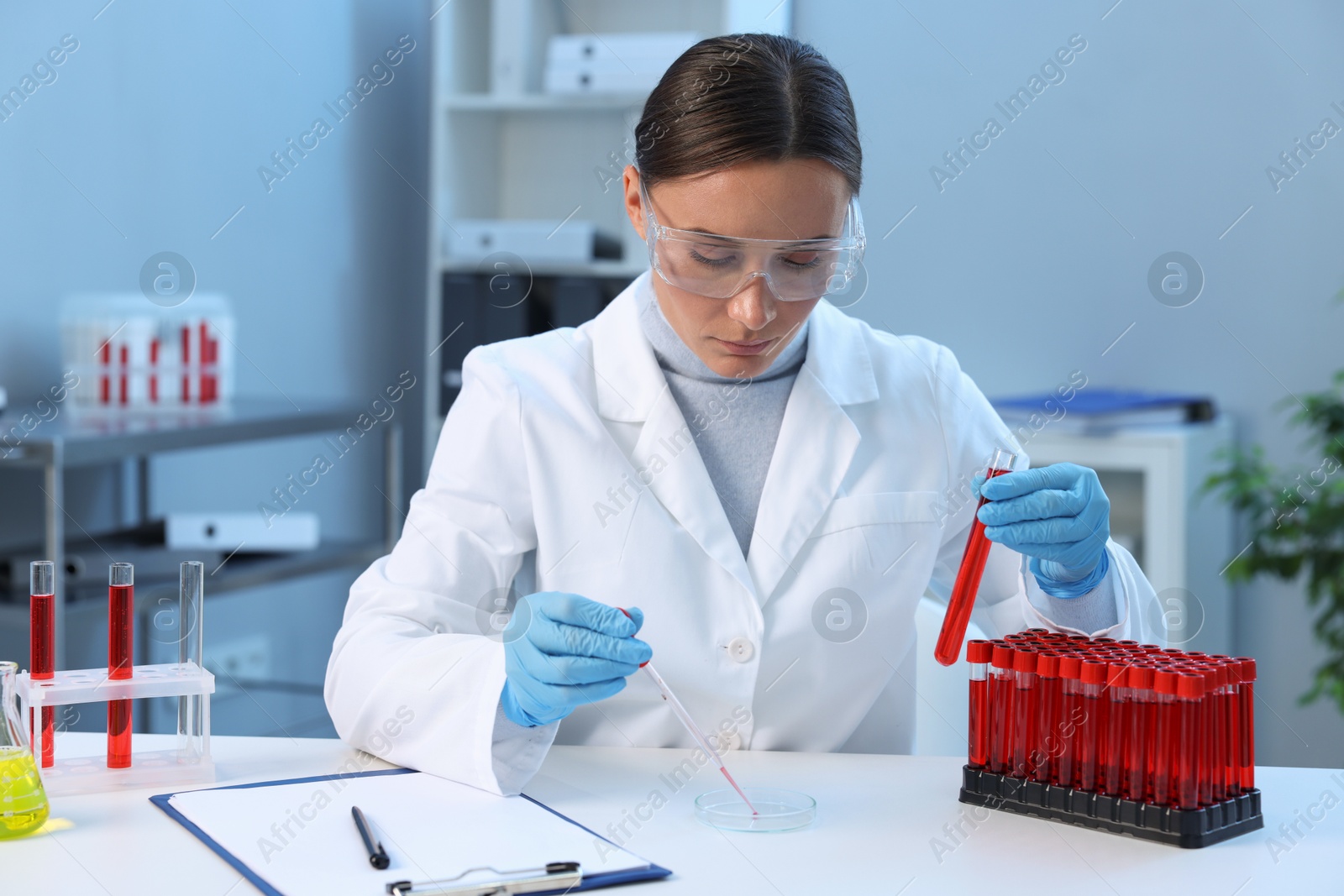 Photo of Laboratory testing. Doctor with test tube dripping blood sample into Petri dish at table indoors