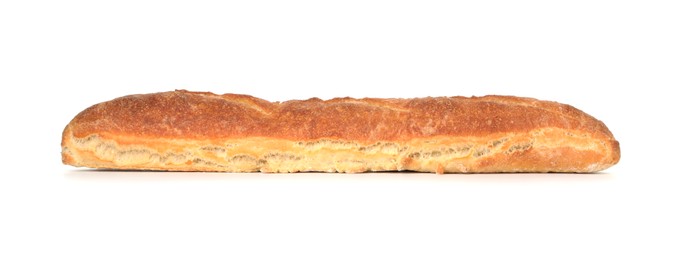 Photo of One freshly baked baguette isolated on white