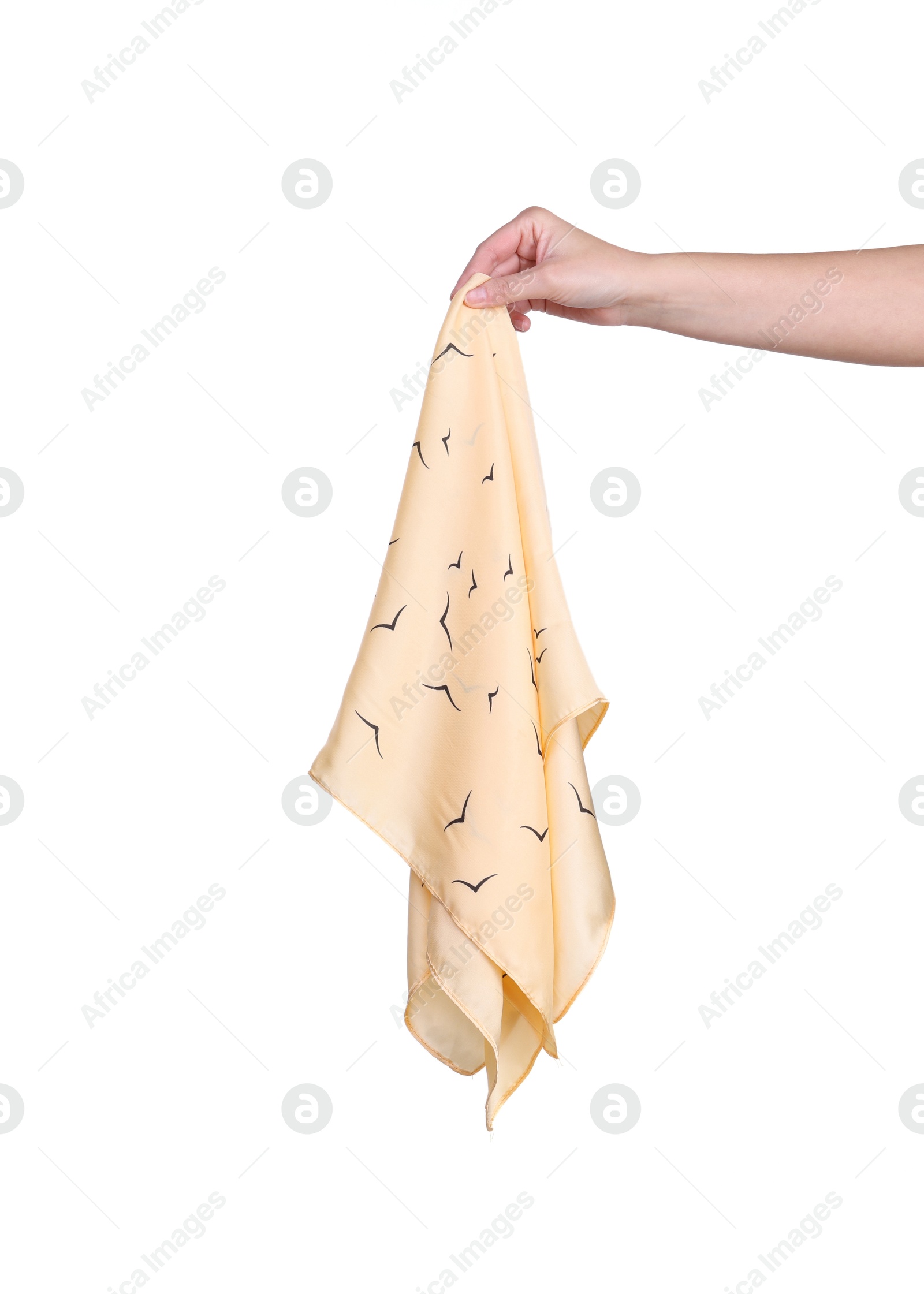 Photo of Woman holding stylish handkerchief on white background, closeup