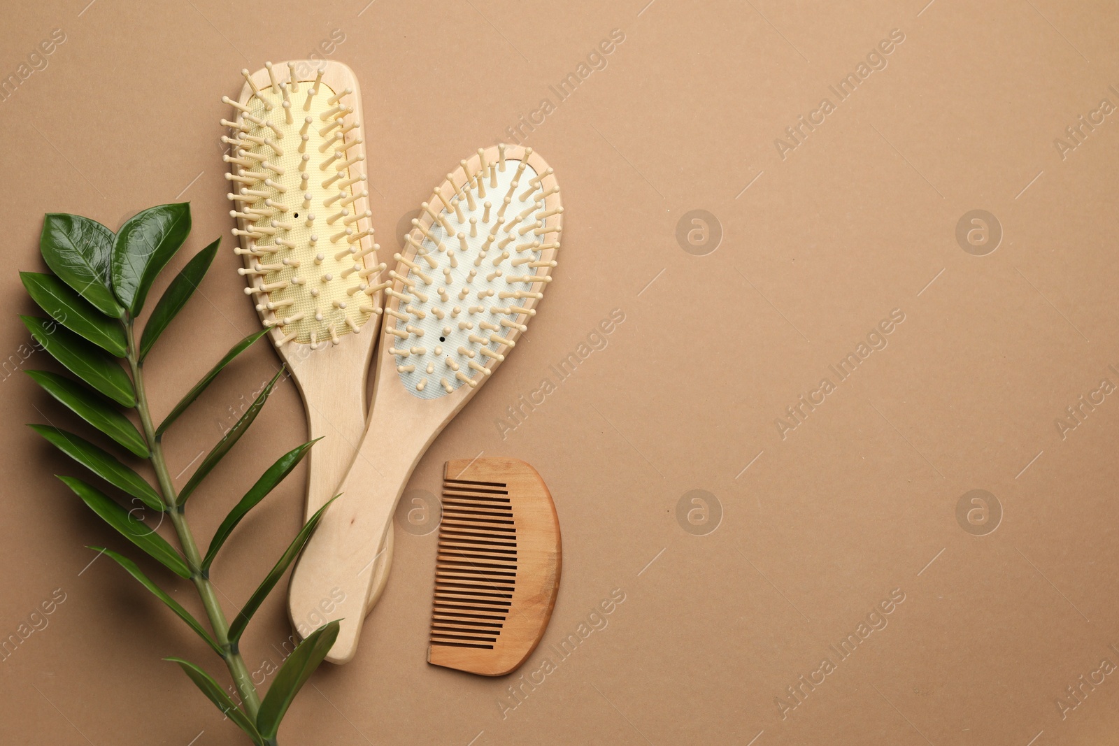 Photo of Wooden hair brushes, comb and green branch on dark beige background, flat lay. Space for text