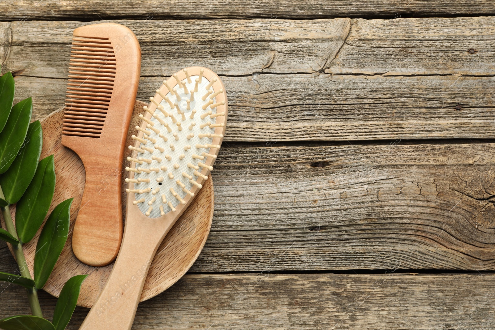 Photo of Hair brush, comb and green branch on wooden table, top view. Space for text