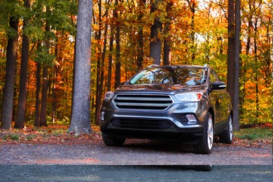 Photo of Modern car parked near forest. Autumn season