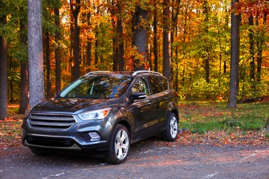 Photo of Modern car parked near forest. Autumn season