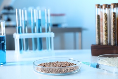 Photo of GMO concept. Petri dishes with cereal grains and syringe on white table in laboratory, closeup