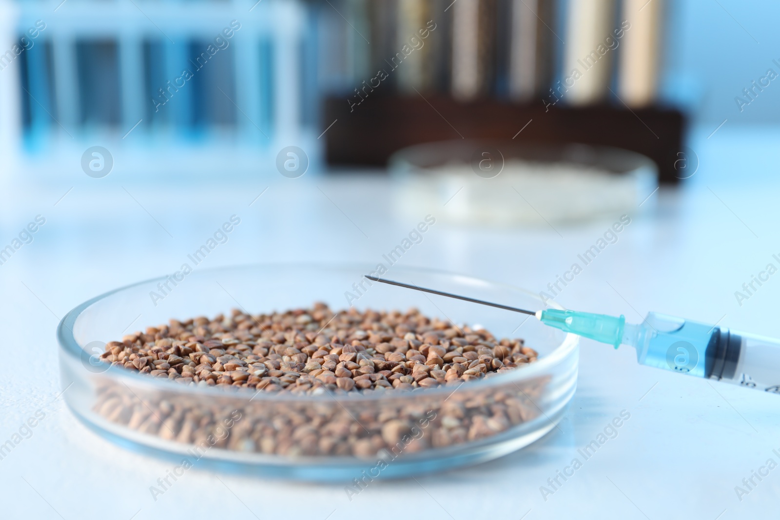 Photo of GMO concept. Petri dish with buckwheat grains and syringe on white table, closeup