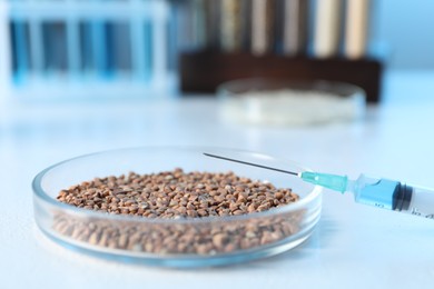 Photo of GMO concept. Petri dish with buckwheat grains and syringe on white table, closeup